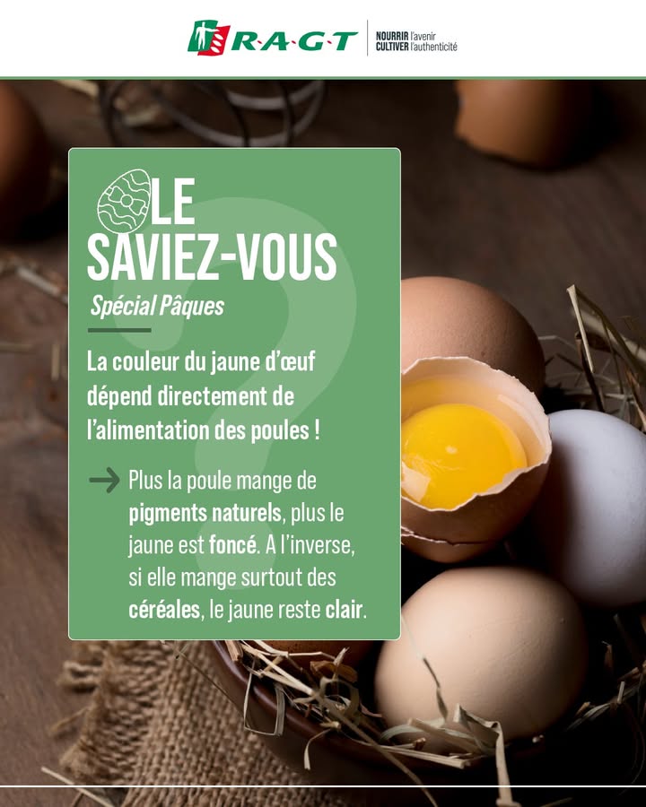 RAGT Plateau Central